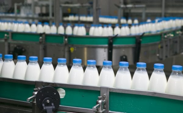 Milk bottles on a bottling line that can be kept safe with proper preventive maintenance in food processing.