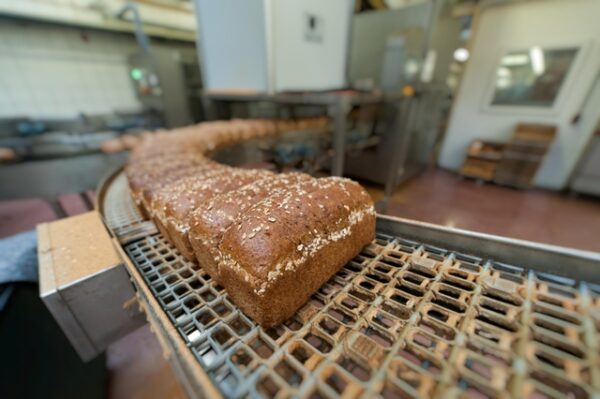 Loaves of bread, which meet Safe Quality Foods standards, coming down a conveyor belt.
